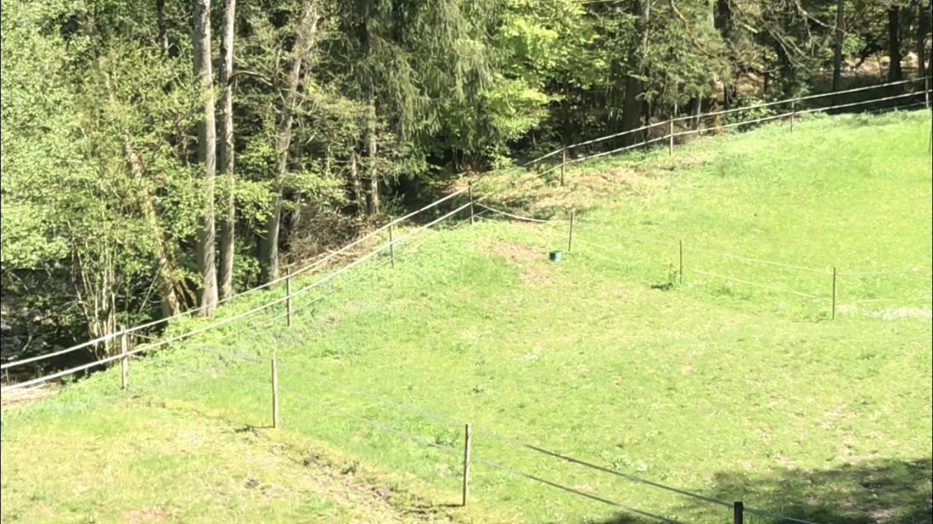 Serenite Et Nature Dans Une Ferme Equestre - Studio Familial Massonnens Exterior photo
